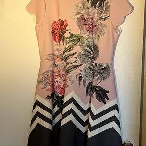 Ted Baker Floral Chevron Dress in Pink and Black